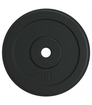 vidaXL Weight Plate 20 kg Cast Iron