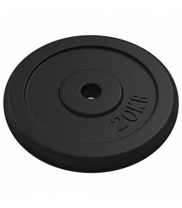 vidaXL Weight Plate 20 kg Cast Iron