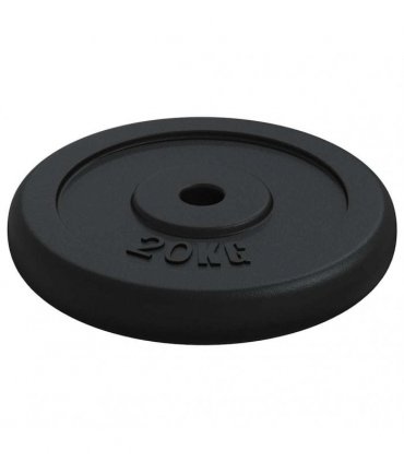 vidaXL Weight Plate 20 kg Cast Iron
