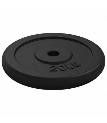vidaXL Weight Plate 20 kg Cast Iron