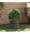 vidaXL Planter Ring Black 30 x 30 x 20 cm Cold-rolled Steel