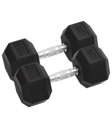 vidaXL Dumbbells 2 pcs 30 kg Total Cast Iron