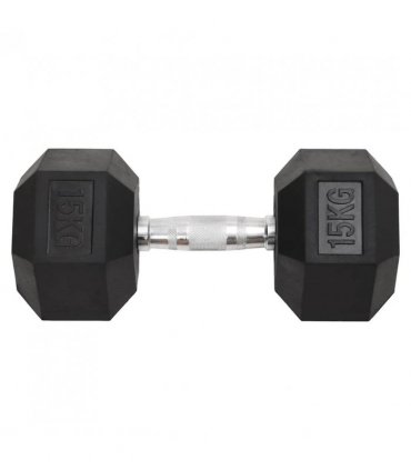 vidaXL Dumbbells 2 pcs 30 kg Total Cast Iron