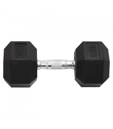 vidaXL Dumbbells 2 pcs 30 kg Total Cast Iron