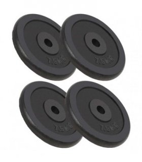 vidaXL Weight Plates 4 pcs 4x7.5 kg Cast Iron
