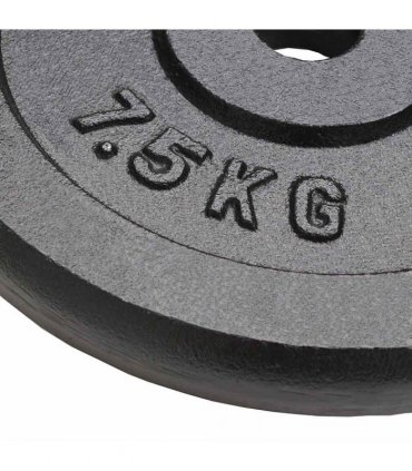 vidaXL Weight Plates 4 pcs 4x7.5 kg Cast Iron