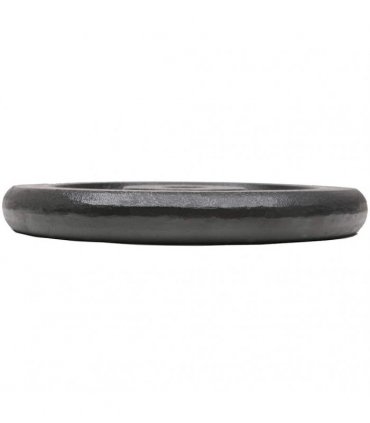 vidaXL Weight Plates 4 pcs 4x7.5 kg Cast Iron