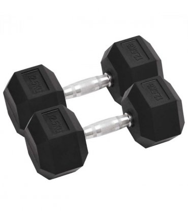 vidaXL Dumbbells 2 pcs 25 kg Total Cast Iron