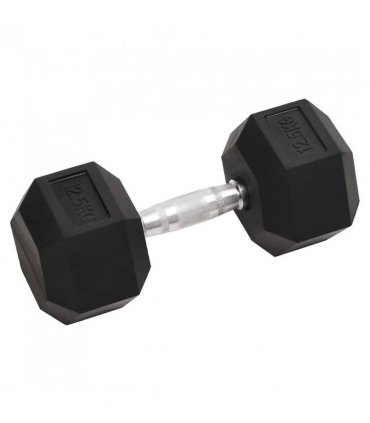 vidaXL Dumbbells 2 pcs 25 kg Total Cast Iron