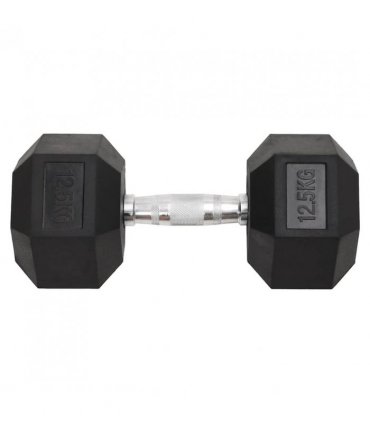 vidaXL Dumbbells 2 pcs 25 kg Total Cast Iron