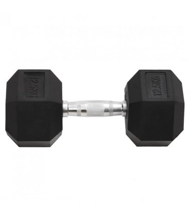 vidaXL Dumbbells 2 pcs 25 kg Total Cast Iron