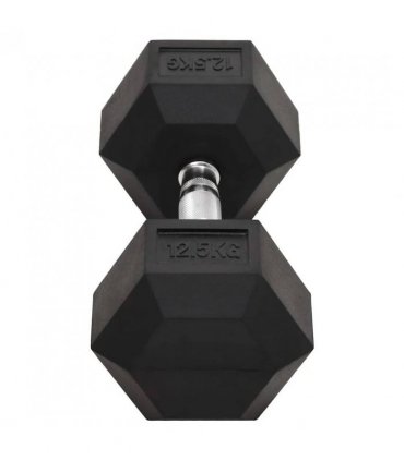 vidaXL Dumbbells 2 pcs 25 kg Total Cast Iron