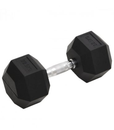 vidaXL Dumbbell 22.5 kg Cast Iron