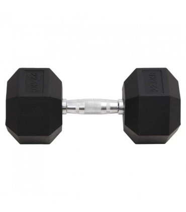 vidaXL Dumbbell 22.5 kg Cast Iron