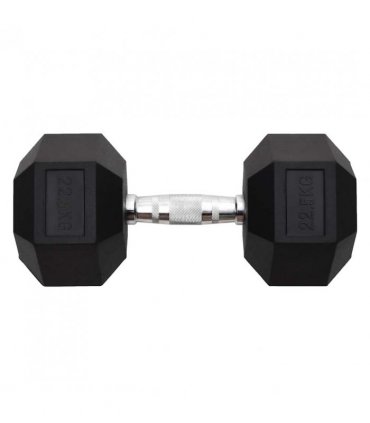 vidaXL Dumbbell 22.5 kg Cast Iron