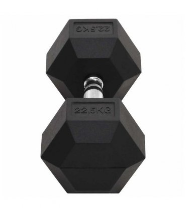 vidaXL Dumbbell 22.5 kg Cast Iron