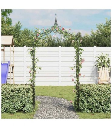 Garden Arch Spike Design Climbing Plants Dark Green