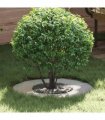 vidaXL suitable for Flat Tree Rings 5 pcs Silver Ø30 / 60 cm