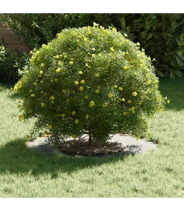 vidaXL suitable for Flat Tree Rings 5 pcs Silver Ø30 / 60 cm