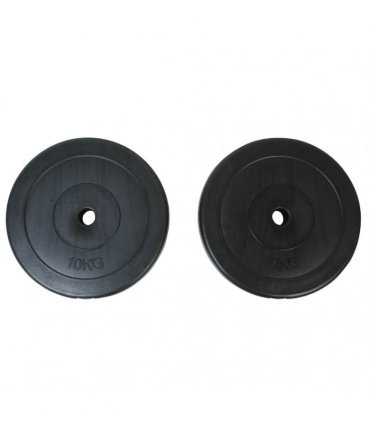 vidaXL Weight Plates 2 x 10 kg