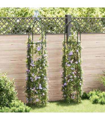 vidaXL Garden Arch | Dark green | Iron | Standard | Decorative Design