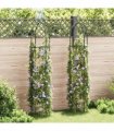 vidaXL Garden Arch | Dark green | Iron | Standard | Decorative Design