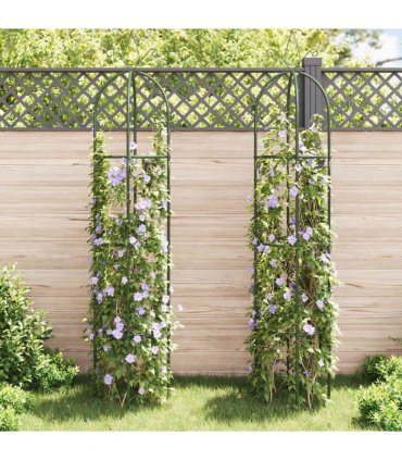 vidaXL Garden Arch | Dark green | Iron | Standard | Decorative Design