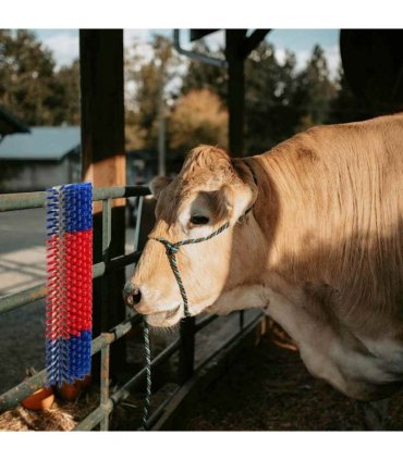 vidaXL Cattle Brushes Red and Blue 50 x 17 x 9 cm Plastic and Steel