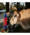 vidaXL Cattle Brushes Red and Blue 50 x 17 x 9 cm Plastic and Steel