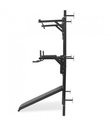 vidaXL Wall-mounted Multi-functional Fitness Power Tower Black