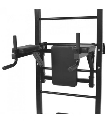 vidaXL Wall-mounted Multi-functional Fitness Power Tower Black