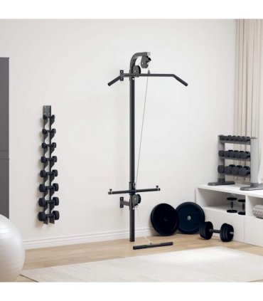 vidaXL Wall-mounted Home Gym with 2 Pulleys