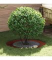 vidaXL suitable for Flat Tree Rings 5 pcs Brown Ø60 / 90 cm