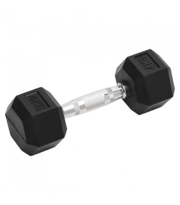 vidaXL Dumbbells 2 pcs 8 kg Total Cast Iron