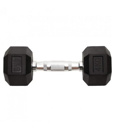 vidaXL Dumbbells 2 pcs 8 kg Total Cast Iron