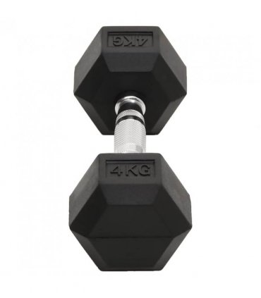 vidaXL Dumbbells 2 pcs 8 kg Total Cast Iron