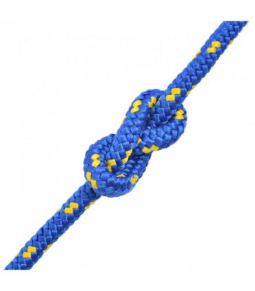 vidaXL Marine Rope Polypropylene 6 mm 100 m Blue