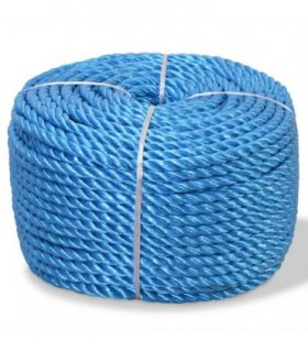 vidaXL Twisted Rope Polypropylene 10 mm 100 m Blue