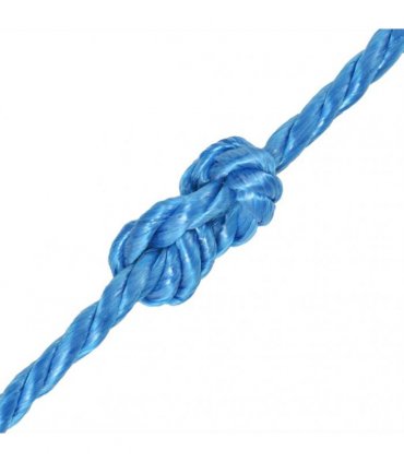 vidaXL Twisted Rope Polypropylene 10 mm 100 m Blue