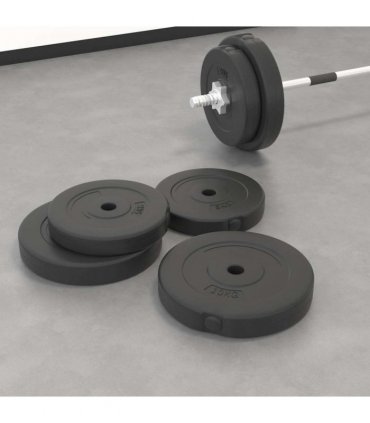 vidaXL Weight Plates 4 pcs 30 kg Cement