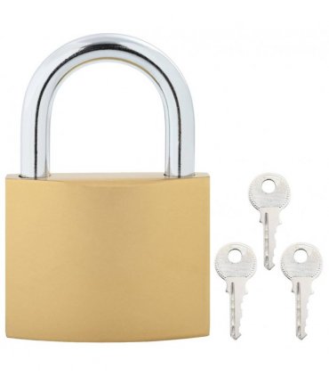 vidaXL U Lock with Keys 50 pcs Brass Iron
