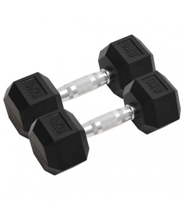 vidaXL Dumbbells 2 pcs 16 kg Total Cast Iron