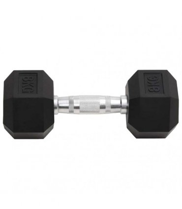 vidaXL Dumbbells 2 pcs 16 kg Total Cast Iron
