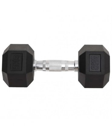 vidaXL Dumbbells 2 pcs 16 kg Total Cast Iron