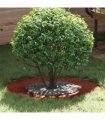 vidaXL suitable for Flat Tree Ring Brown Ø40 / 70 cm Weathering Steel