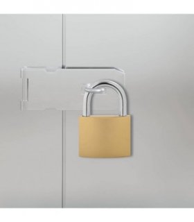 vidaXL U Lock with Keys 6 pcs Brass Iron
