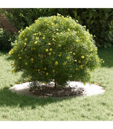 vidaXL suitable for Flat Tree Rings 5 pcs White Ø40 / 70 cm Steel