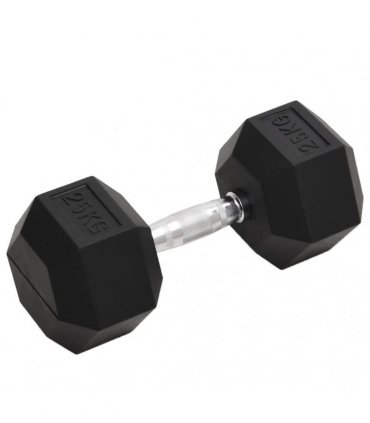 vidaXL Dumbbell 25 kg Cast Iron