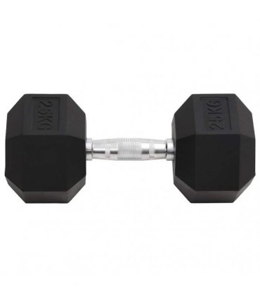 vidaXL Dumbbell 25 kg Cast Iron