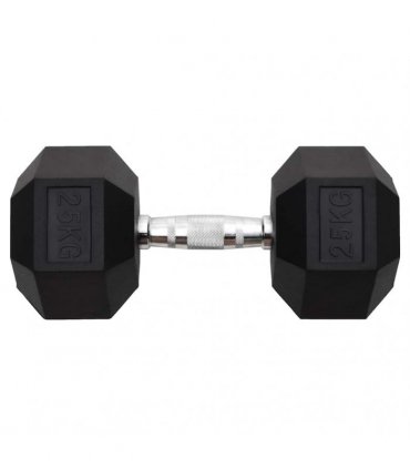 vidaXL Dumbbell 25 kg Cast Iron